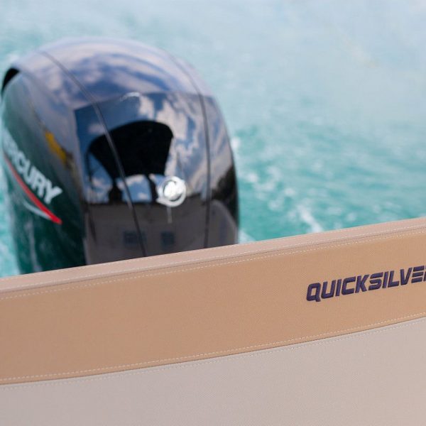quicksilver (11)